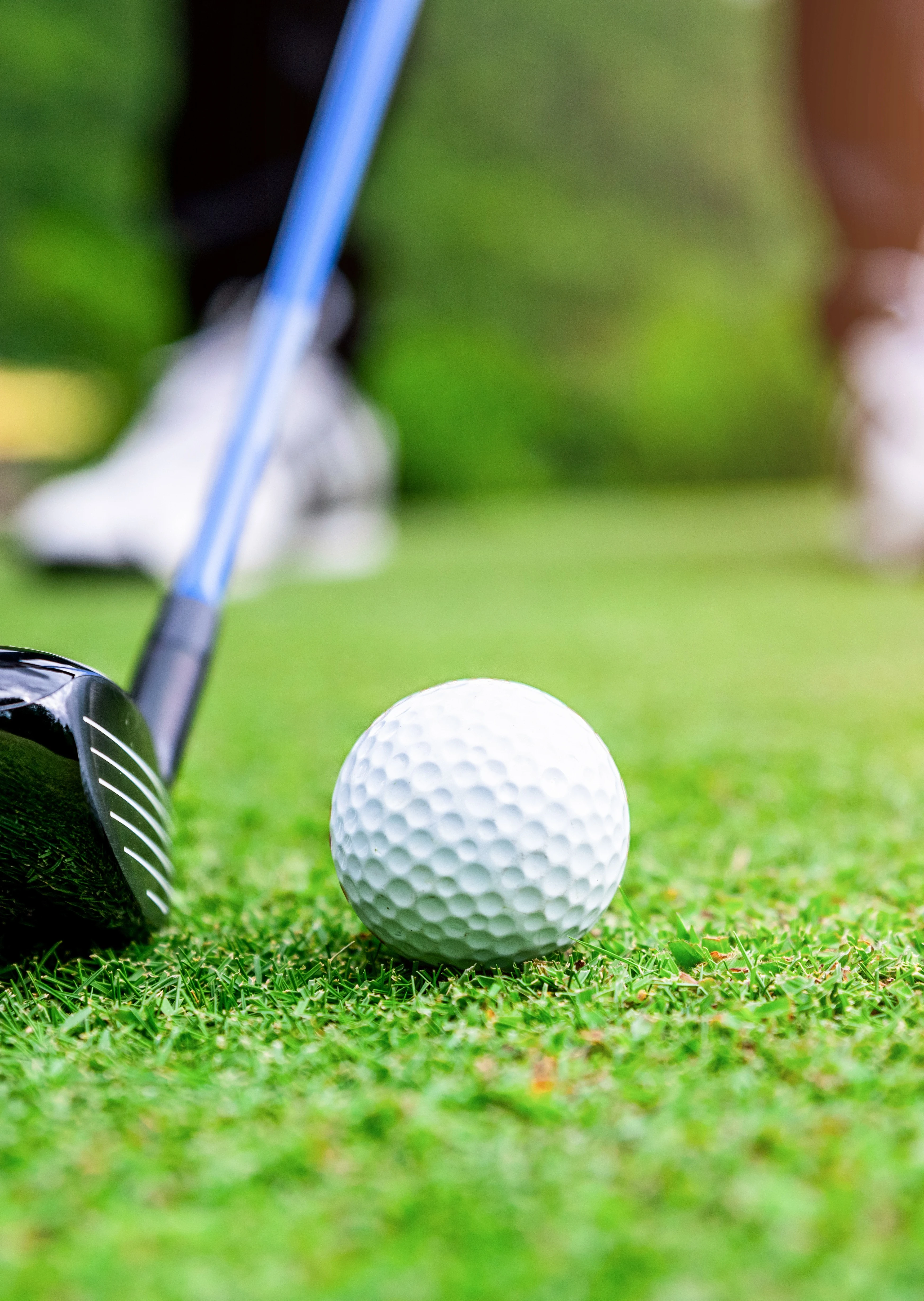 Golfplatz Bild